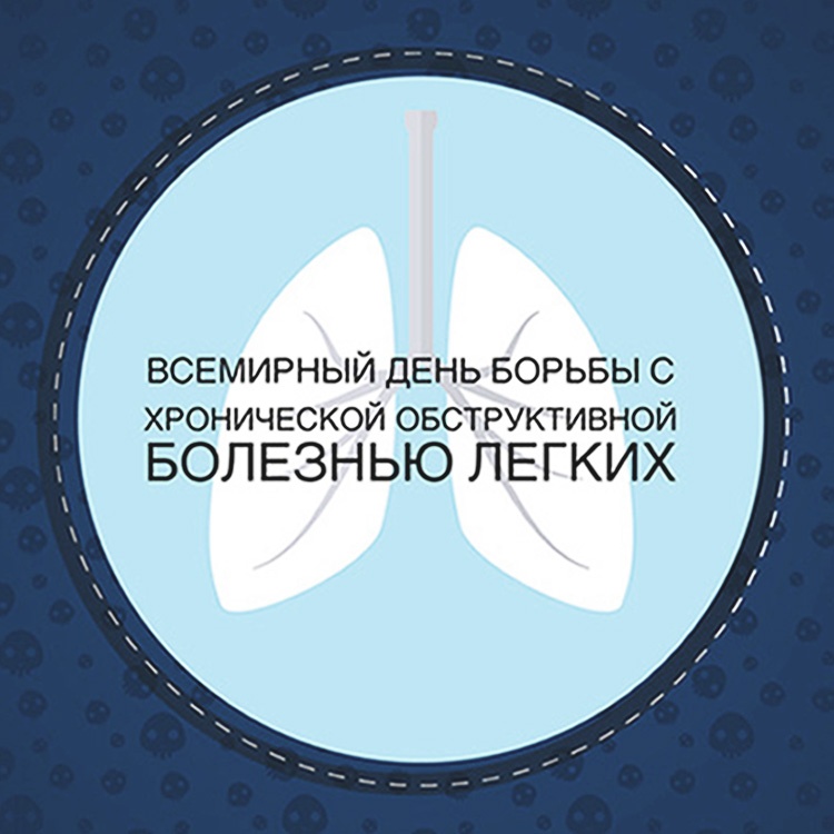 Лекция 11. ДИНАМИКА БИОГЕОЦЕНОЗОВ: ФЛУКТУАЦИИ И СУКЦЕССИИ